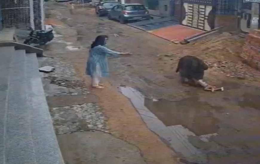 आवारा कुत्तों का आतंक, डेढ़ साल के बच्चे पर हमला, अस्पताल में भर्ती