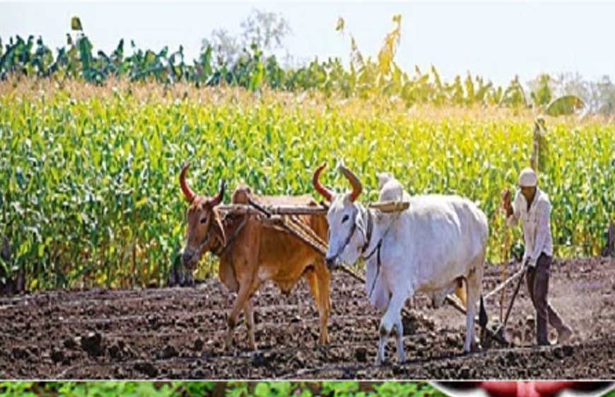 हरियाणा में भूमिहीन किसानों के लिए खुशखबरी, सैनी सरकार देगी जमीन से लेकर खेती और आगे के कामों के लिए प्रोत्साहन राशि