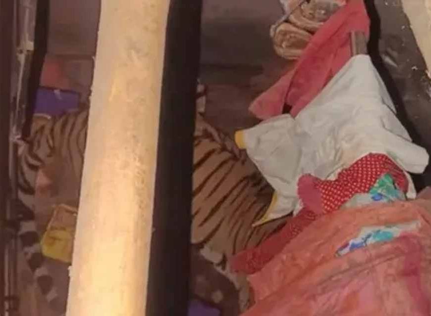 रांची के एक किसान के घर में घुसा बाघ, 12 घंटे से रेस्क्यू ऑपरेशन जारी