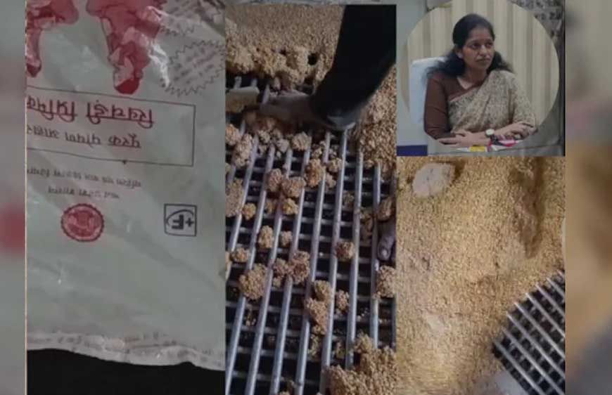रीवा में गर्भवती महिलाओं को दिए जाने वाले पोषण आहार को पैरों से कुचलकर बनाये जाने का एक वीडियो सामने आया