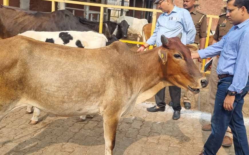एक भी गौमाता बेसहारा न रहे : उप मुख्यमंत्री शुक्ल