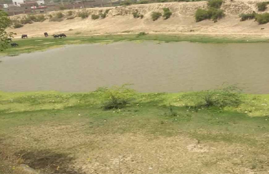 खेत-तालाब, अमृत सरोवर से 1.67 लाख हेक्टेयर से अधिक में होगी सिंचाई, खिलेंगे किसानों के चेहरे