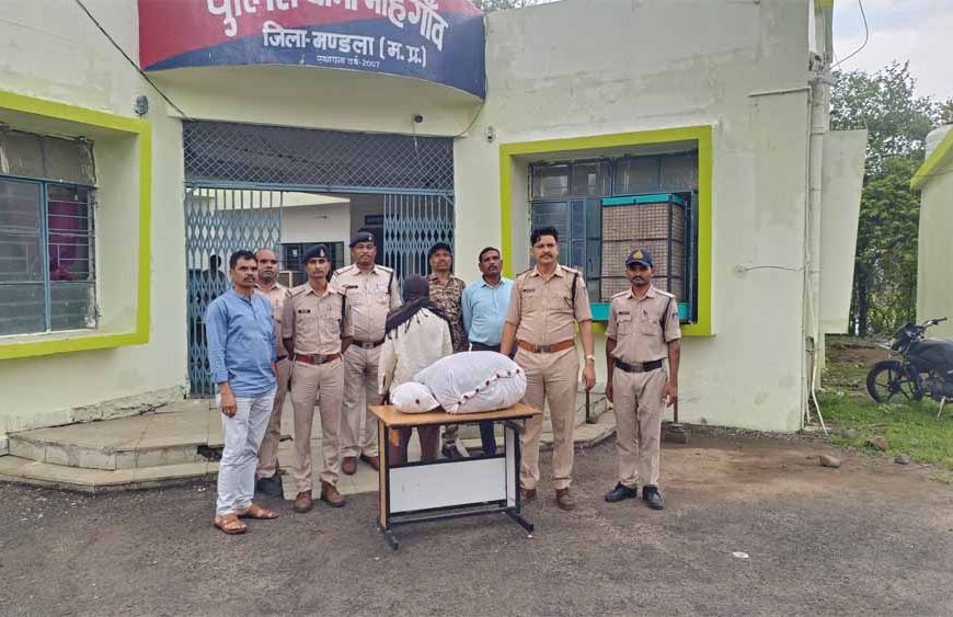 थाना मोहगांव पुलिस की बड़ी कार्रवाई- भारी मात्रा में गांजा जब्त, एक तस्कर गिरफ्तार
