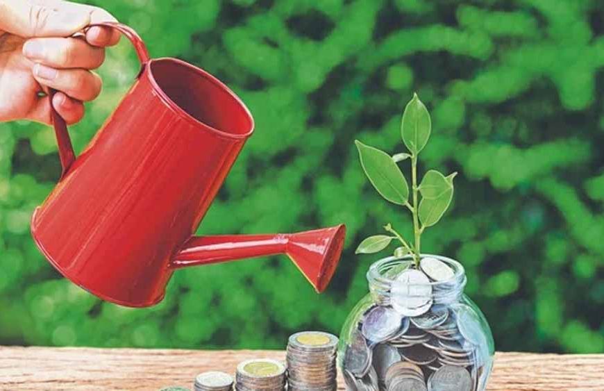 छोटी बचत योजनाओं पर घट सकता है ब्याज! सुकन्या-PPF खाताधारकों के लिए अलर्ट