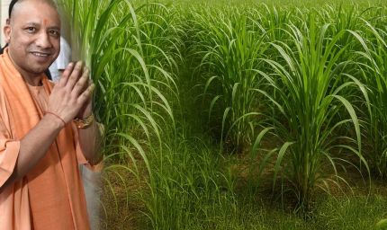 योगी सरकार किसानों की आय बढ़ाने के लिए एक नई योजना शुरू करने जा रही, 20000 रुपये प्रति हेक्टेयर देने की तैयारी