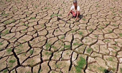 अध्ययन में पता चला की प्रदेश के 10 जिलों में गंभीर सूखे का खतरा, गर्म दिनों की संख्या बढ़ने के चलते बनी स्थिति
