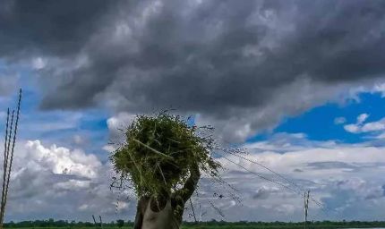 मानसून लगभग पूरे देश में पहुंच चुका, कैसा रहेगा अगले 5 दिनों के मौसम का हाल?, बारिश का अलर्ट जारी