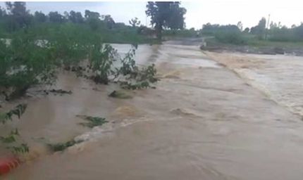टीकमगढ़, डिंडौरी और गुना में भारी बारिश से कई इलाकों में जलभराव , नदी-नाले उफान पर