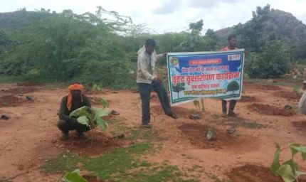 वन विभाग द्वारा वृक्षारोपण का कार्यक्रम किया गया