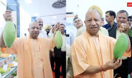 लखनऊ में आम महोत्सव में शामिल हुए मुख्यमंत्री योगी आदित्यनाथ