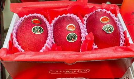 कुरुक्षेत्र पहुंचा दुनिया का सबसे महंगा आम, कीमत- ₹70 हजार/Kg, जापानी प्रजाति का