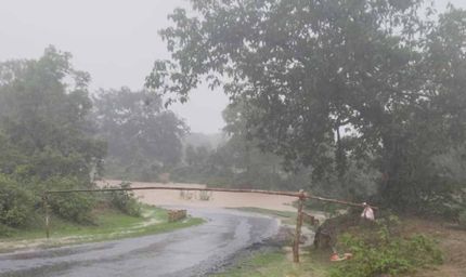 शहडोल में भारी बारिश का कहर: रेलवे स्टेशन और अस्पताल जलमग्न