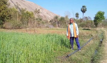 कृषक सुखसाय रबी और खरीफ फसल लेकर हो रहे लाभान्वित