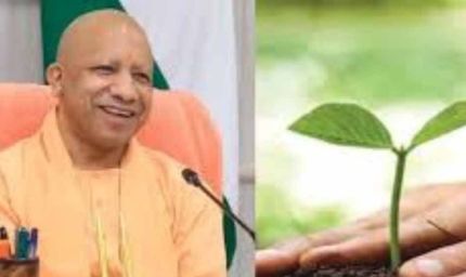 उत्तर प्रदेश सरकार पौधारोपण अभियान के तहत 37 करोड़ पौधे लगाएगी