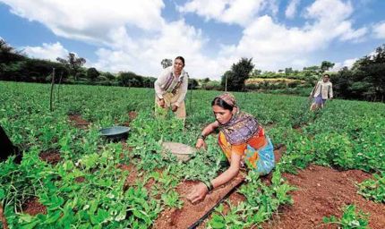 कृषक उत्पादकों के संगठनों को मंडी यार्ड में उपलब्ध करवाये जायेंगे प्लेटफॉर्म
