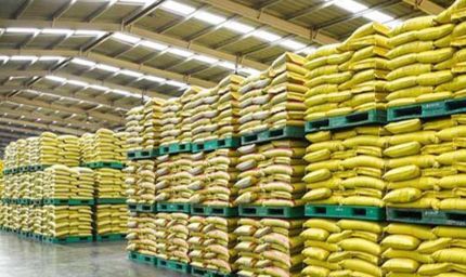 रायपुर :राज्य में खाद-बीज और कीटनाशक औषधियों की गुणवत्ता की जांच जारी