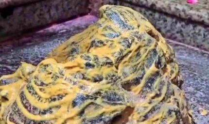 ओंकारेश्वर में दर्शन व्यवस्था में बदलाव, अब VIP दर्शन केवल प्रोटोकॉल के तहत