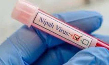 निपाह वायरस से निपटने को केरल तैयार, राजन खोबरागड़े ने बताया प्लान