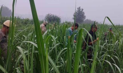 पंजाब बॉर्डर पर दिखा संदिग्ध ड्रोन, BSF ने तुरंत शुरू किया सर्च ऑपरेशन