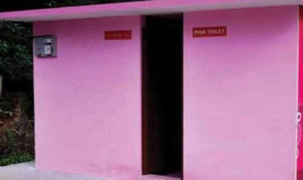 प्रदेश के 183 नगरीय निकायों में 218 पिंक टॉयलेट