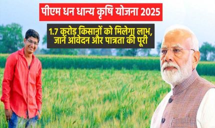 किसानों के लिए खुशखबरी! 'प्रधानमंत्री धन धान्य कृषि योजना' शुरू, केंद्रीय मंत्रिमंडल ने मंजूरी दी