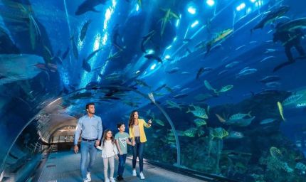 भोपाल में बन रहा 40 करोड़ का एक्वा पार्क, 3D इंटरेक्टिव जोन और वॉटर टनल से होगा रोमांच