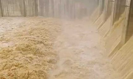 मूसलधार बारिश से बढ़ा जलस्तर: रनगुवां और कुटनी डैम के गेट खुले, कई जिलों में स्कूल बंद