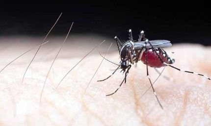 कोरोना के बाद अब नए वायरस का हमला! दुनियाभर में 2 लाख लोग संक्रमित