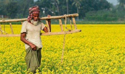 PM किसान: 20वीं किस्त पर कृषि मंत्रालय का बड़ा अपडेट, जानें कब आएगा पैसा