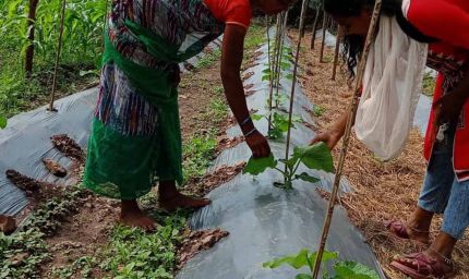 बस्तर में 'बिहान' से लखपति दीदी बनने की ओर अग्रसर महिलाएं