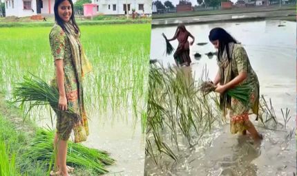 सांसद से किसान बनीं प्रिया सरोज, सहेलियों संग खेत में की धान रोपाई