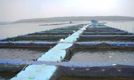 छत्तीसगढ़ में फिशरीज के नये युग की शुरूआत, हसदेव डुबान में बनेगा पहला एक्वा पार्क