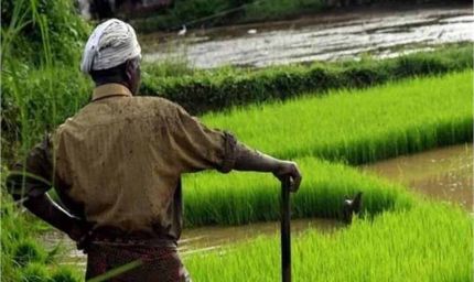 पंजाब सरकार का ऐतिहासिक फैसला: अब कब्जा लेने के दिन से ही किसानों को मिलेगा मालिकाना हक