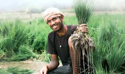 31 जुलाई आखिरी मौका: खरीफ फसलों का बीमा नहीं कराया तो होगा भारी नुकसान