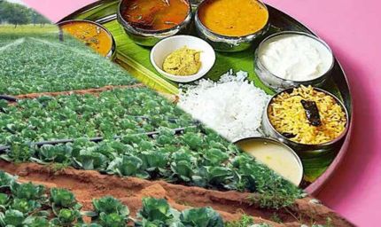 18 देशों की रिसर्च में बड़ा खुलासा: आलू-प्याज और रोटी पर मंडरा रहा है गंभीर खतरा