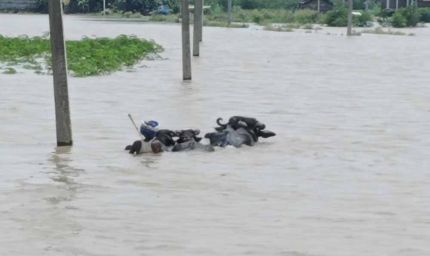 गंगा में बढ़ा जलस्तर, गनियारी टोला में बाढ़ का खतरा, गांव छोड़ने को मजबूर ग्रामीण