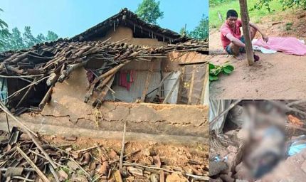 दहशत का कहर: हाथी के हमले में मासूम समेत 3 की दर्दनाक मौत