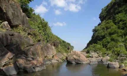 सालगांव बांध को मिली हरी झंडी: वन विभाग ने जारी किया एनओसी