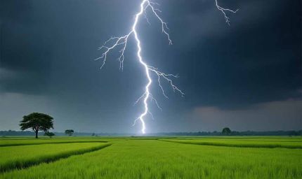 पलामू में आसमानी कहर: धनरोपनी के दौरान आकाशीय बिजली से दो महिलाओं की मौत