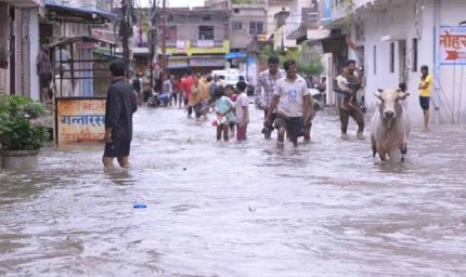 छत्तीसगढ़ में मॉनसून मेहरबान: अब तक 595.2 मिमी औसत बारिश दर्ज