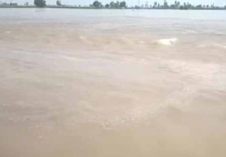 बाढ़ की स्थिति से निपटने के लिए जिला कार्यालय समेत 8 सब-डिवीजनो में कन्ट्रोल रूम किए स्थापित