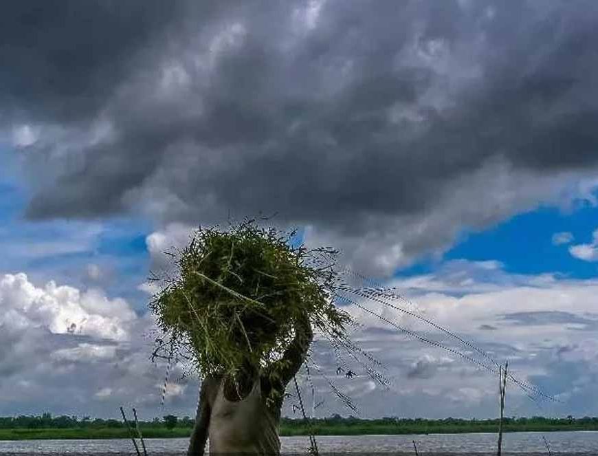 मानसून लगभग पूरे देश में पहुंच चुका, कैसा रहेगा अगले 5 दिनों के मौसम का हाल?, बारिश का अलर्ट जारी