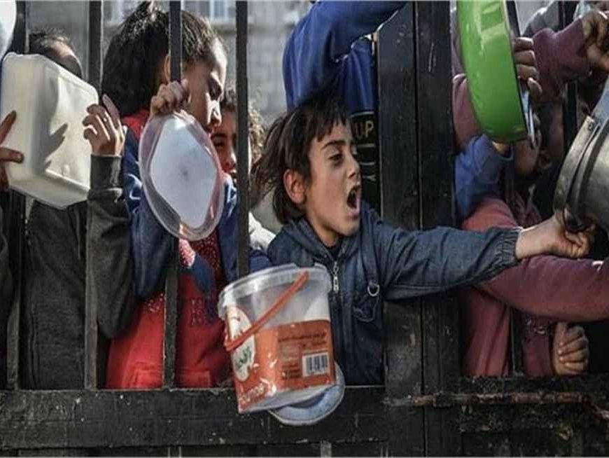 गाजा में भूख बनी मौत का कारण! राशन की लाइन में 82 फिलीस्तीनियों की गई जान