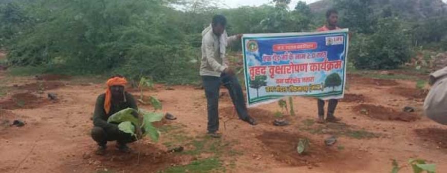 वन विभाग द्वारा वृक्षारोपण का कार्यक्रम किया गया