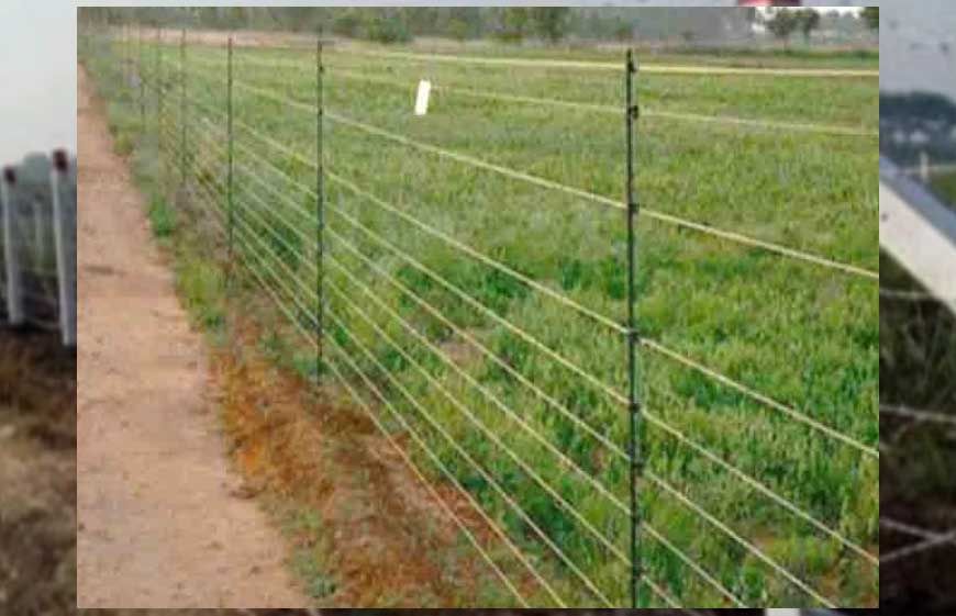 जानवरों से फसल की सुरक्षा के लिये खेत पर जाली लगाने का आधा खर्च सरकार वहन करेगी