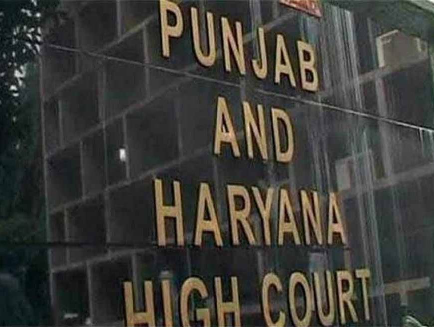 यहां 3 सप्ताह में चुनाव कराए सरकार, HC ने प्रदेश सरकार को दिए निर्देश