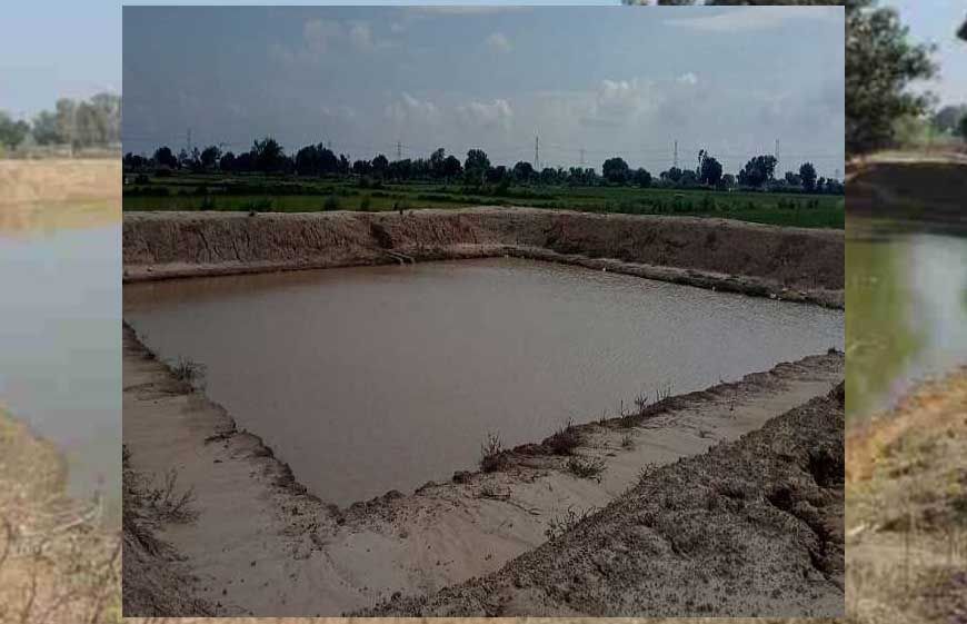 मध्यप्रदेश में जल क्रांति, बढ़ेगा सिंचाई का रकबा और भू-जल स्तर में होगी वृद्धि