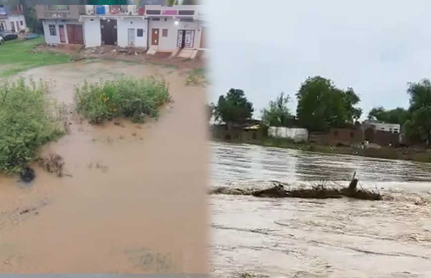 शिवपुरी : मूसलाधार बारिश से शहर की कई कॉलोनी पानी में डूबीं, जल भराव से बाढ़ जैसे हालात