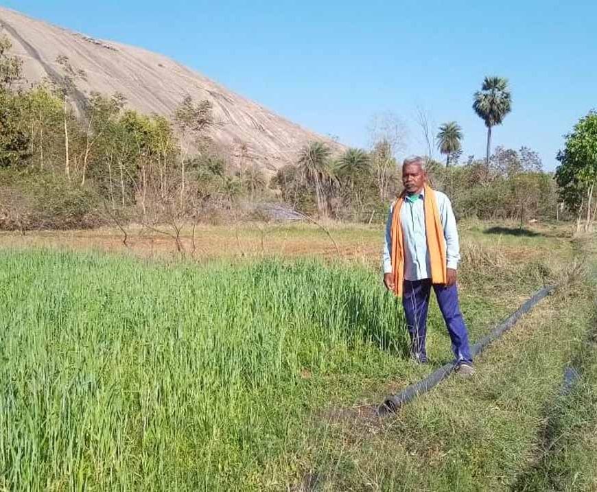 कृषक सुखसाय रबी और खरीफ फसल लेकर हो रहे लाभान्वित