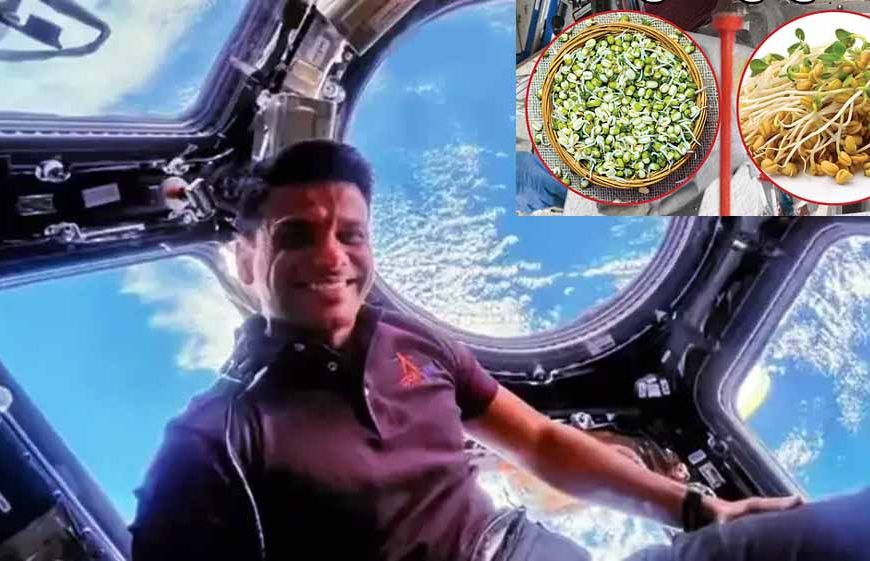 अंतिरक्ष में माइक्रोग्रैविटी में मेथी और मूंग के बीजों का अंकुरण कर रहे शुभांशु शुक्ला